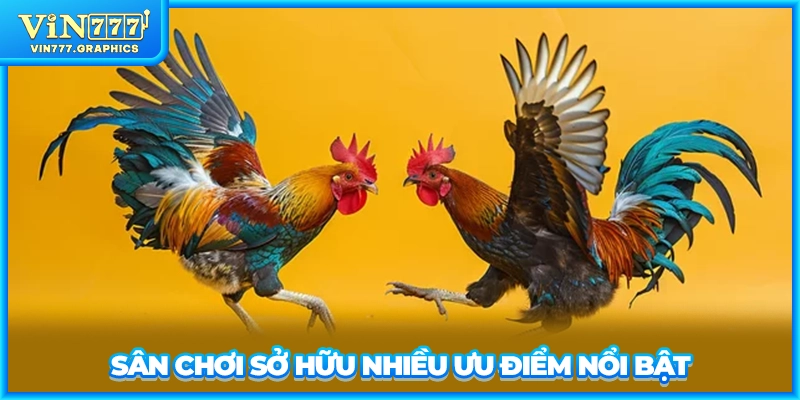 Sân chơi sở hữu nhiều ưu điểm nổi bật